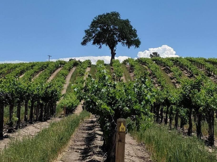 The Vineyard Farmhouse Villa Paso Robles Exterior photo